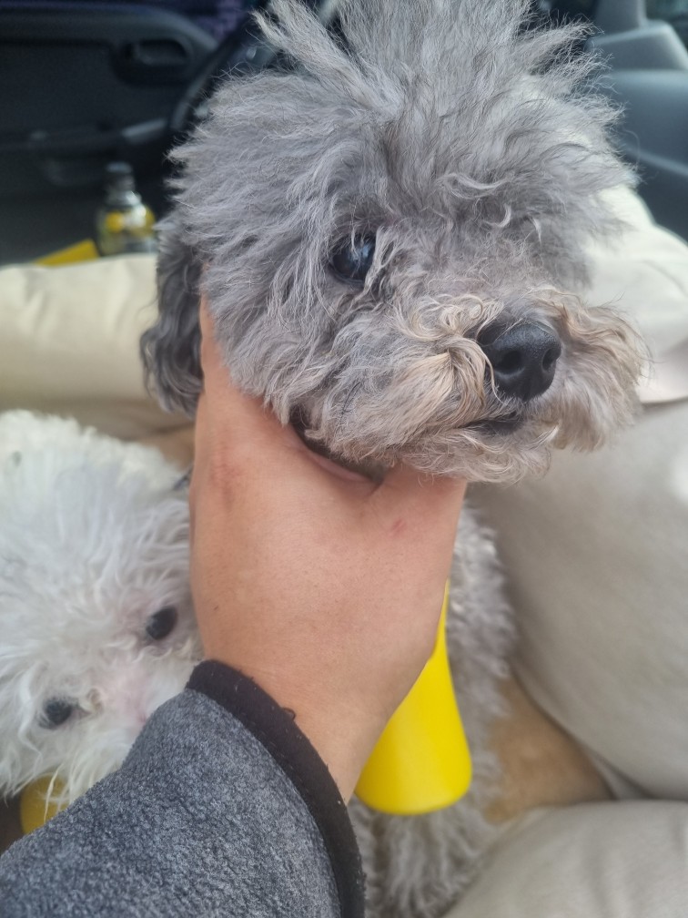 군위종합동물병원_427514202500273